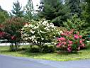 DSC00041.JPG