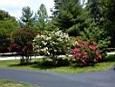 DSC00042.JPG