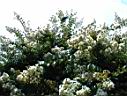 DSC00044.JPG