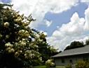 DSC00045.JPG