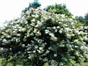 DSC00047.JPG