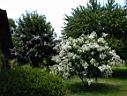 DSC00049.JPG