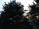 DSC00058.JPG