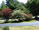 DSC00061.JPG