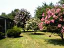 DSC00062.JPG