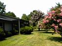 DSC00063.JPG