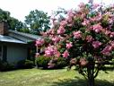 DSC00064.JPG