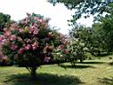 DSC00065.JPG