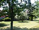 DSC00066.JPG