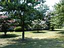 DSC00067.JPG