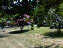 DSC00069.JPG