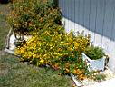DSC00077.JPG