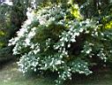 DSC00082.JPG