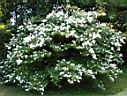 DSC00083.JPG