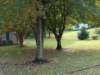 hpim4473_small.jpg
