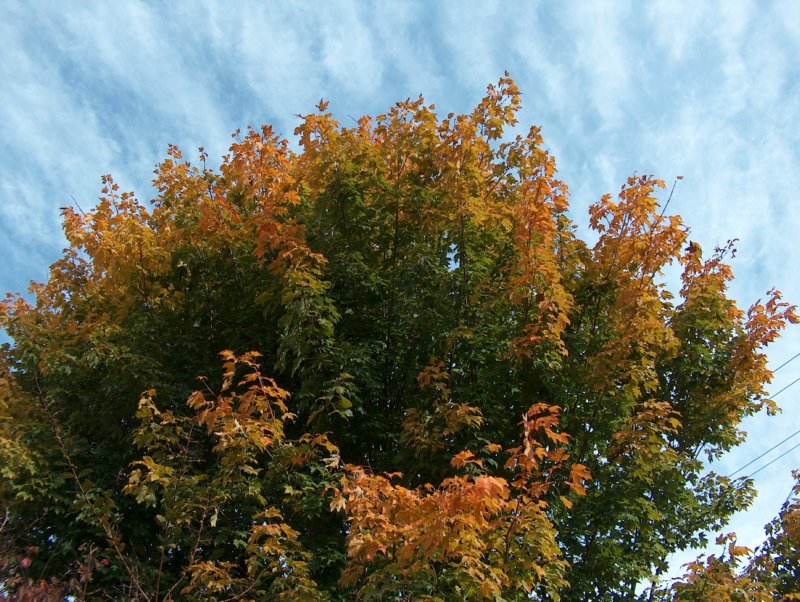 hpim4480.jpg